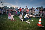 dni-osia-21-136.jpg