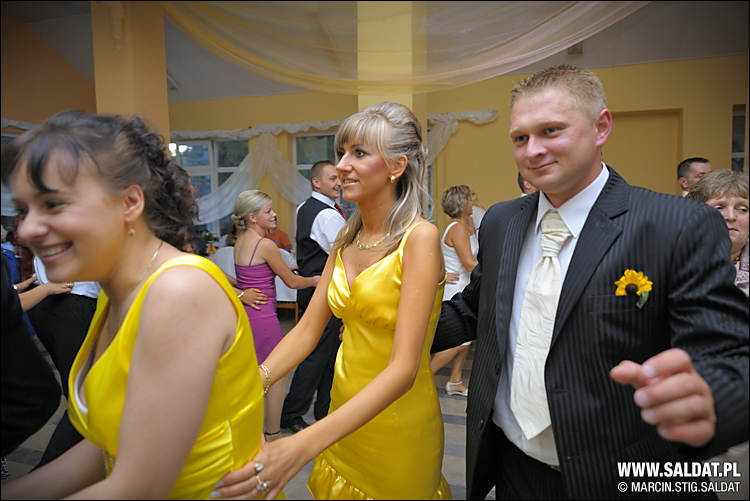 141  swaa392.jpg  141