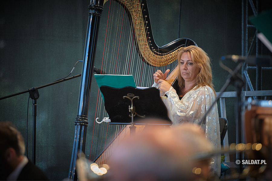 255  spap15-2-255.jpg  255