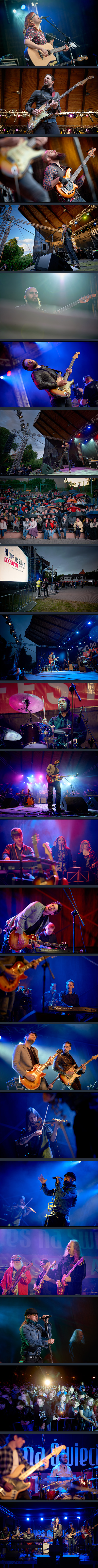 Blues na Świecie Festival 2015 - dzień 2