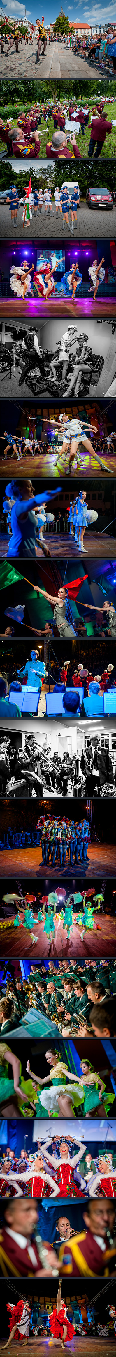 XXIX Międzynarodowy Festiwal Orkiestr Dętych, Świecie 2013