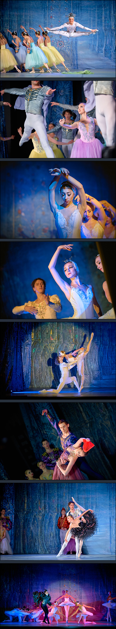 Jezioro łabędzie, Imperial Lviv Ballet, OKSiR Świecie